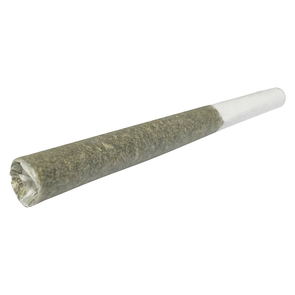 Cannon (Pink Kush x Cotton Candy), 2.86% Terps PreRoll  1x