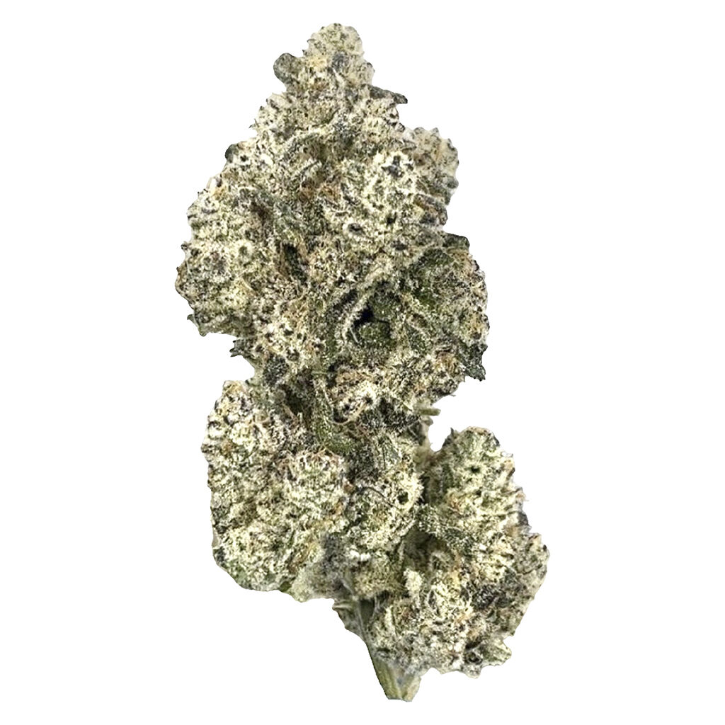 Royal Dive#5 (Craft) : Purple Zombie, 3.2% Terps, (CBG & CBC)