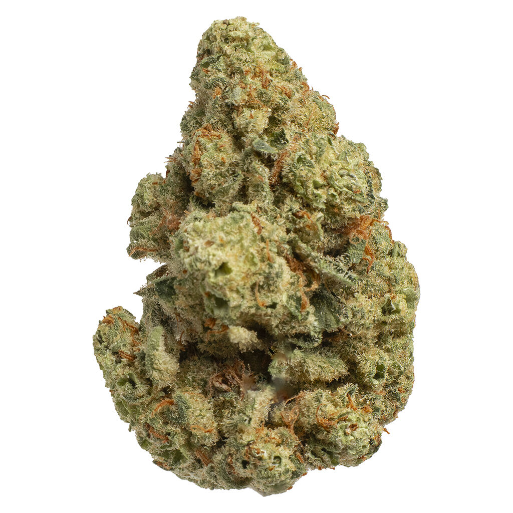 Lemonatti, 3.1% Terps