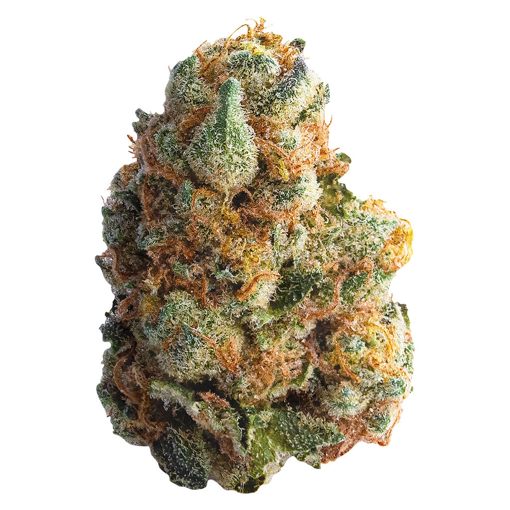GMO Cookies, 3.6% Terps