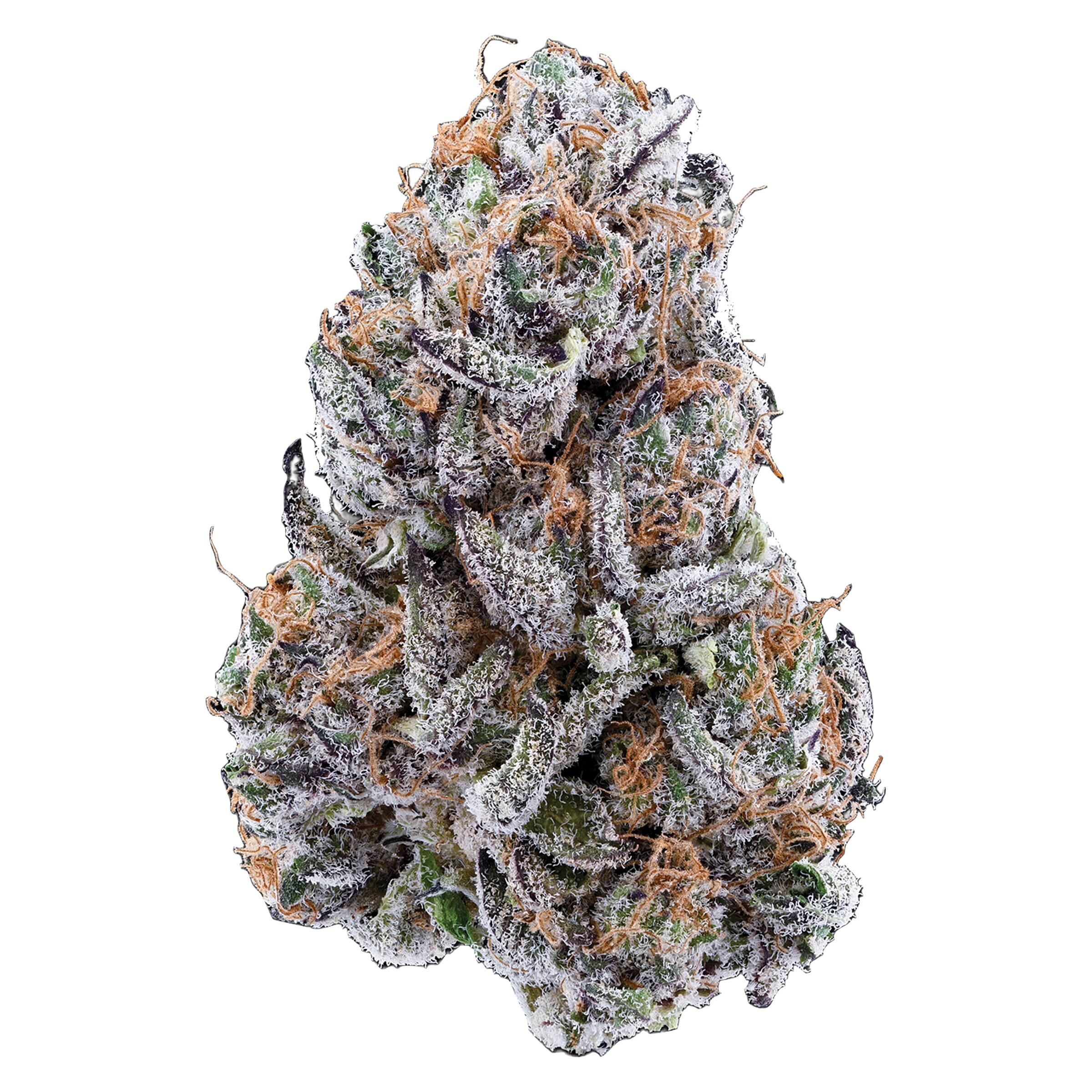 Product image Hybrid (Porto Leche), 2.4% Terps  1