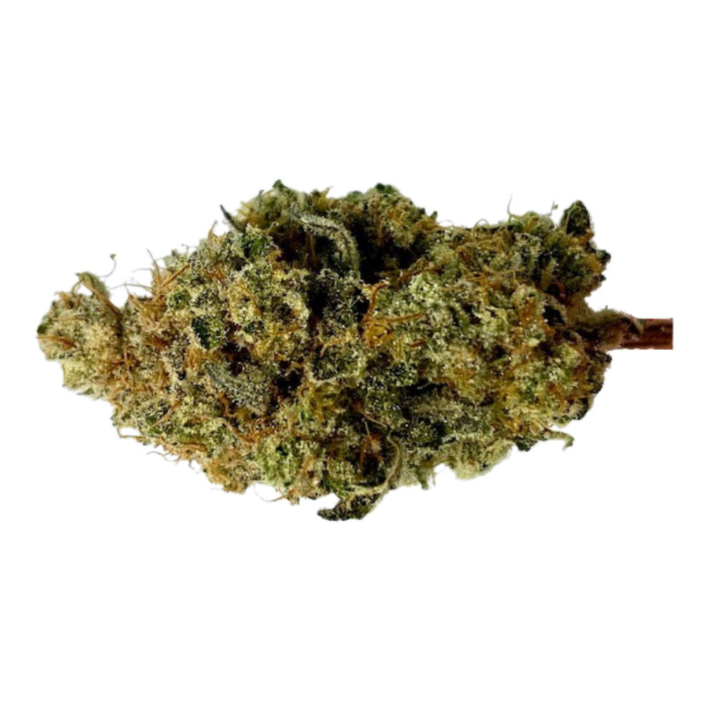Organic Comatose (Craft), 3.99% Terps