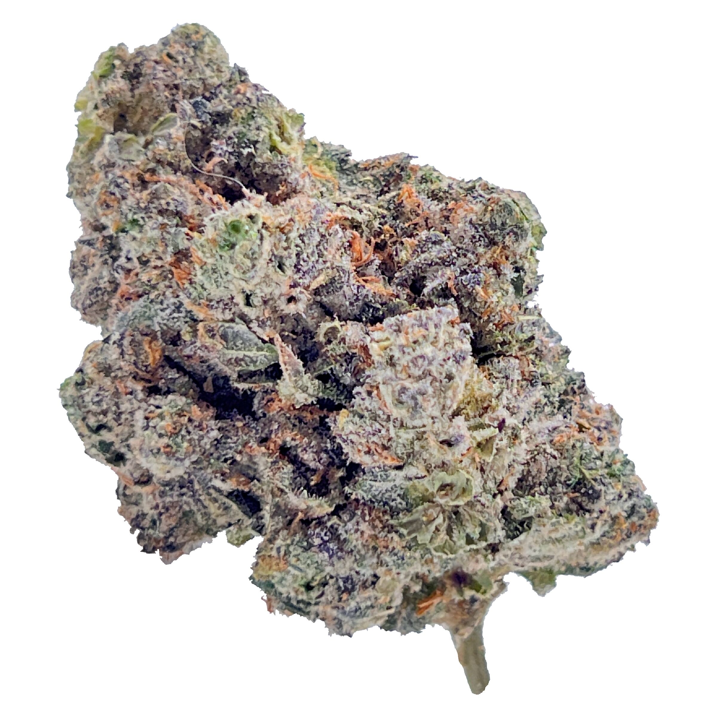 Royal Dive#4: Goofiez (Craft) 3.1% Terps (CBG & CBC)