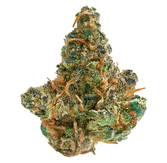 Frosted Cream Puffs, 4.4% Terps