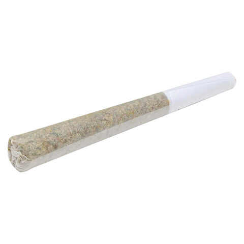 Burner Phone Special Pre-Roll - 1x
