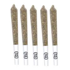 Gasolina, 2.80% Terps Pre-Roll - 5x0.5g